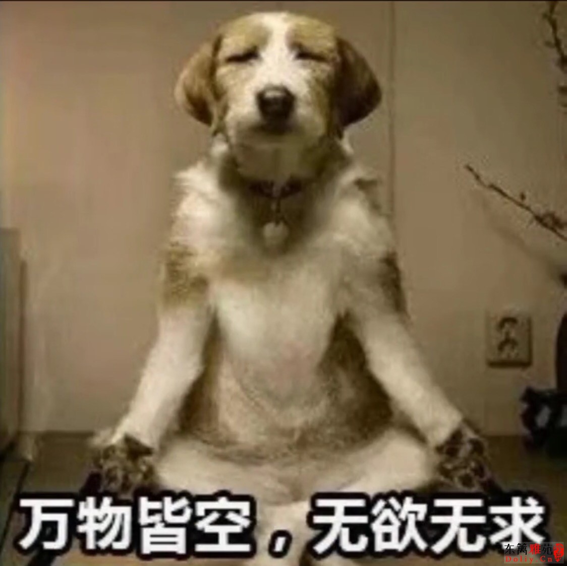 image.jpeg