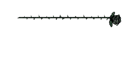 timg (9).gif