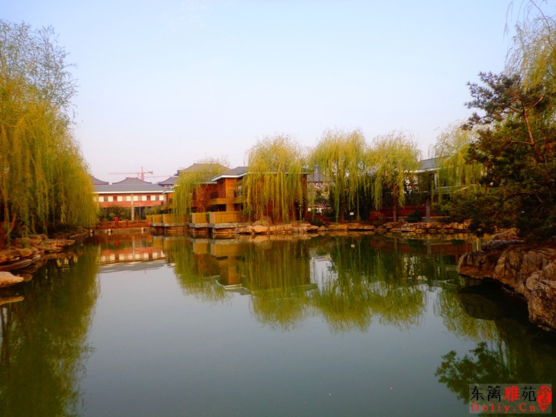 DSC07511.JPG