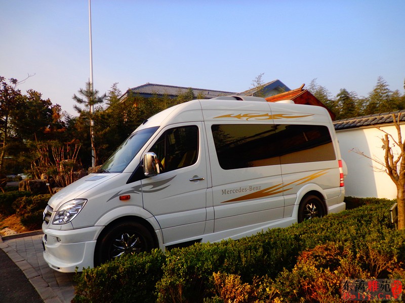 DSC07537.JPG