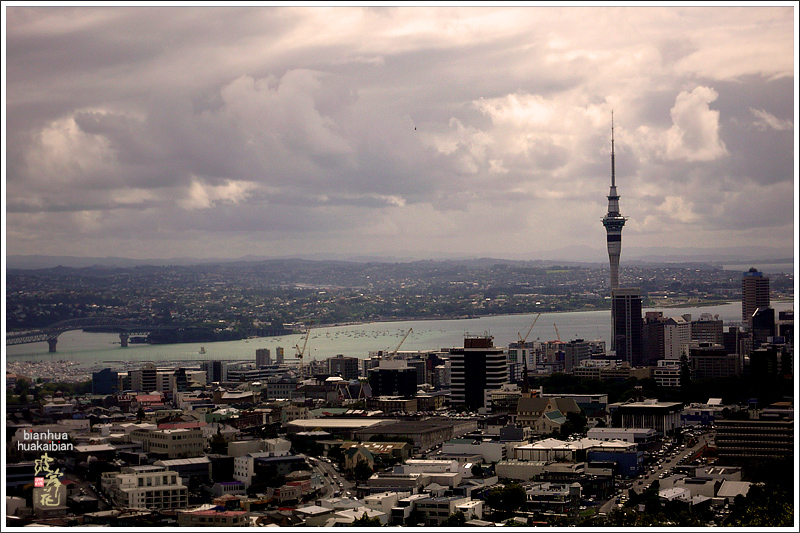 新西兰远眺.jpg