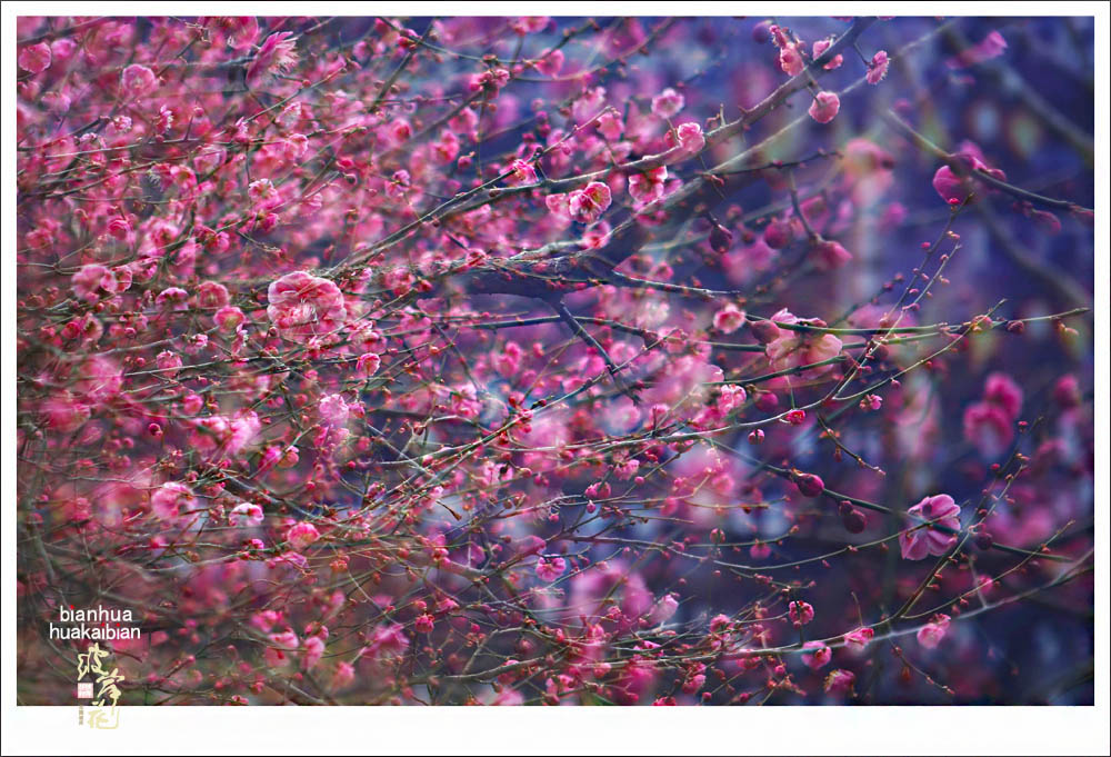 210513be89pgtbzreelln7.jpg