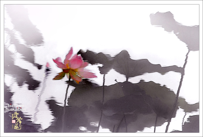 花落水痕更销魂001.jpg