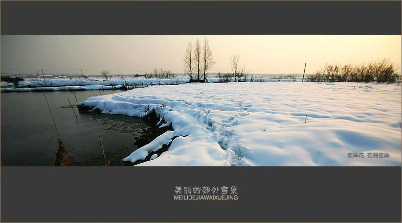 郊外的雪景3.jpg