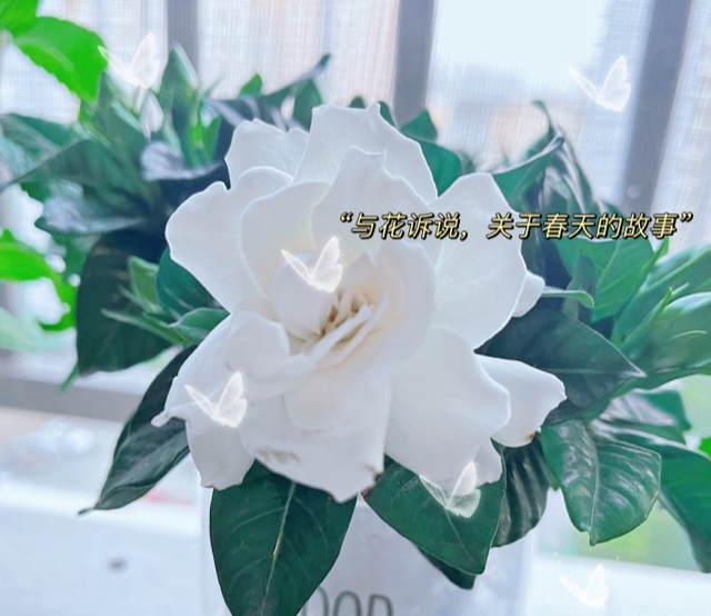 A2BC3026-29B7-4C5D-8DC8-BD0197B51B05.jpeg