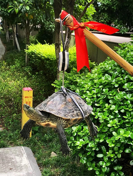 QQ图片20220624120957.png