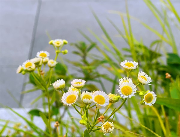 7782EC9E-4D54-48DD-8B11-9EDB497E7BA0.jpeg