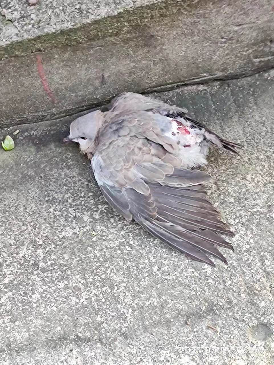 微信图片_20230426150402.jpg
