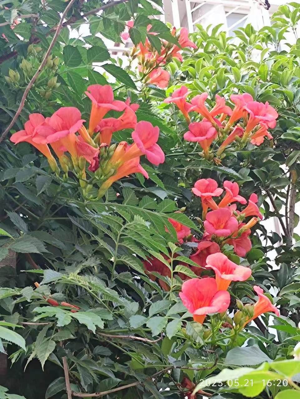 微信图片_20230720101158.jpg