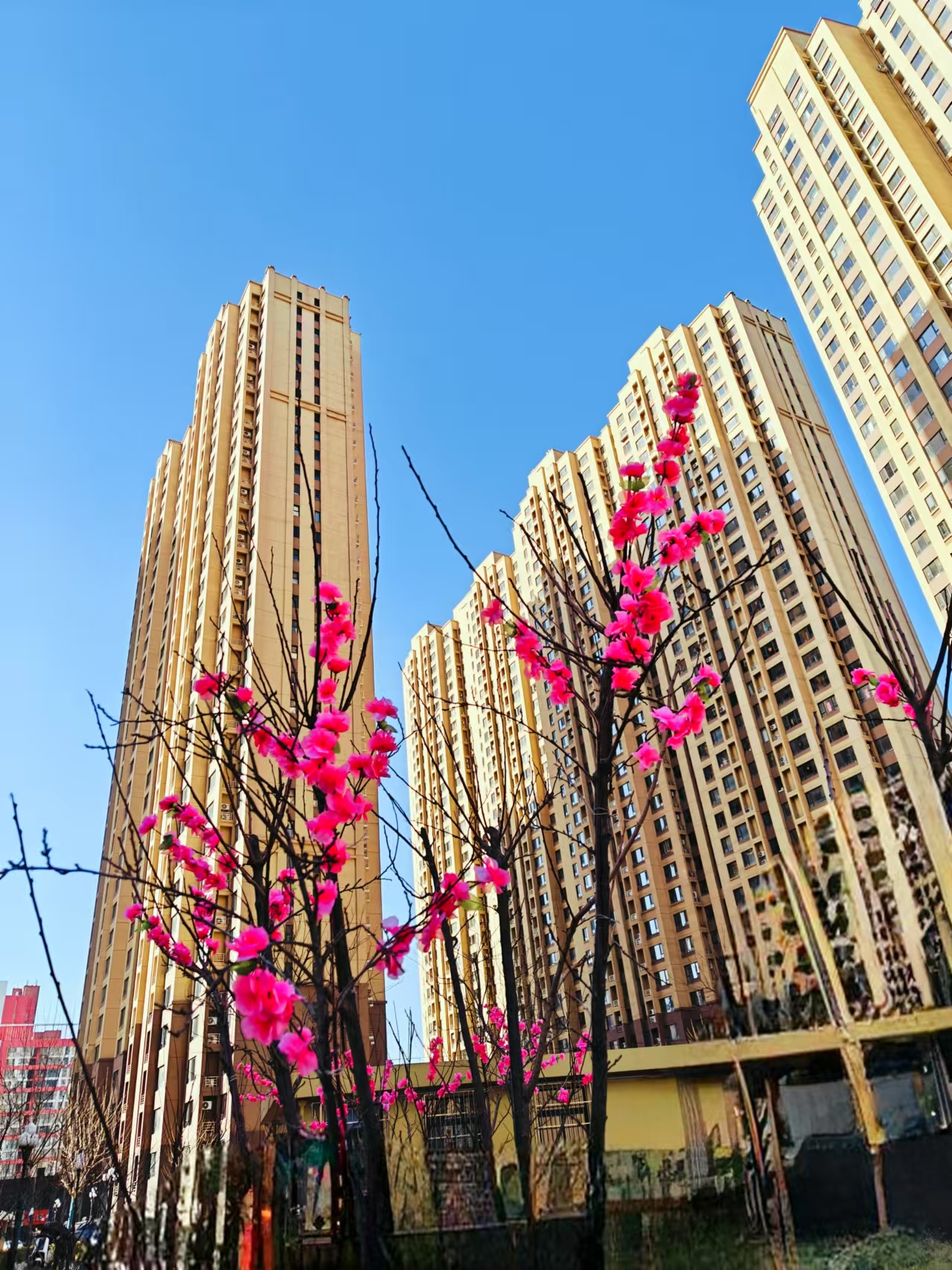 微信图片_20250116185755.jpg