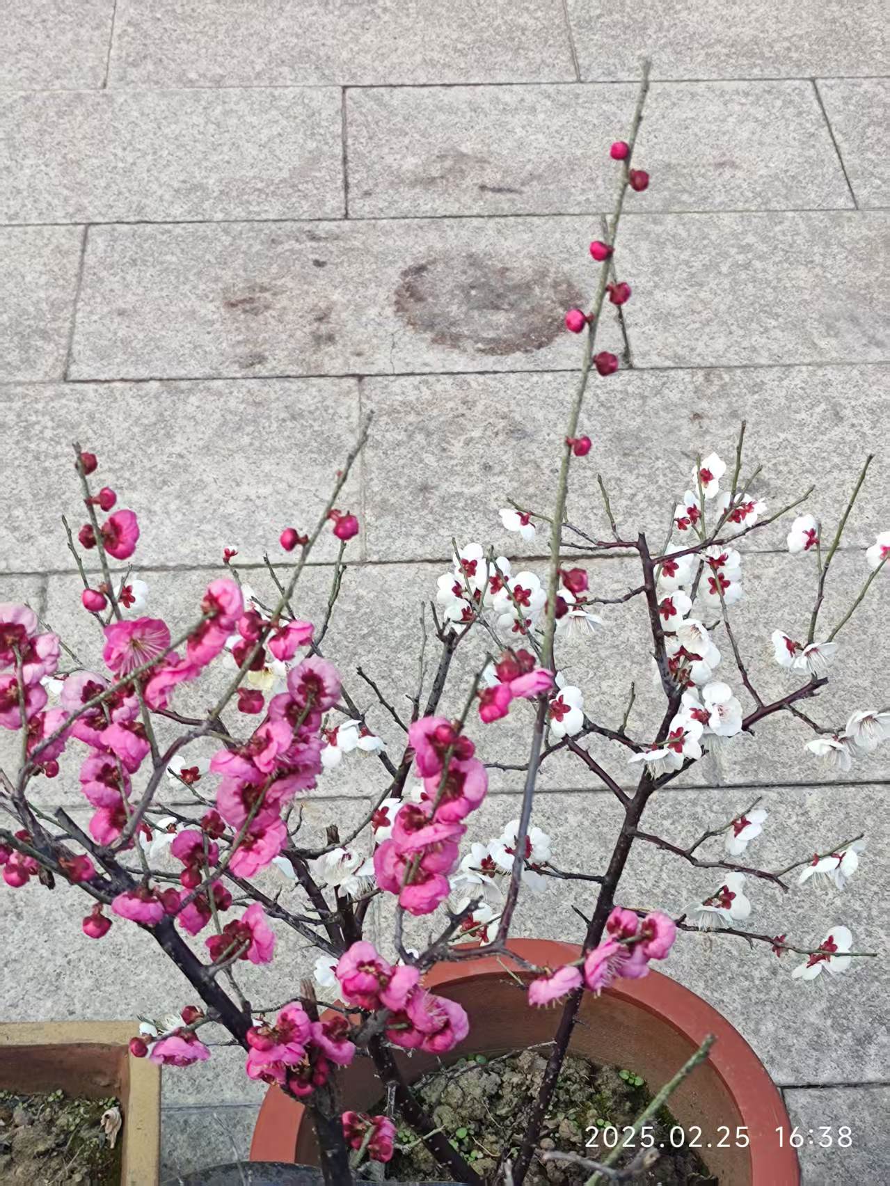 微信图片_202503121433415.jpg