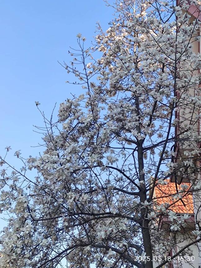 微信图片_20250414101150-1.jpg