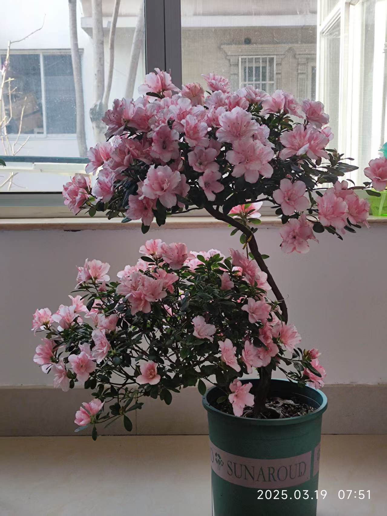 微信图片_20250414101318.jpg